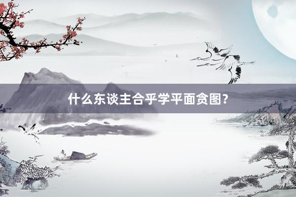 什么东谈主合乎学平面贪图?