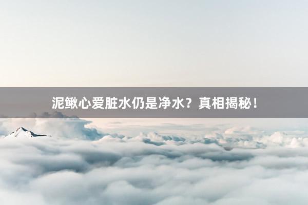 泥鳅心爱脏水仍是净水？真相揭秘！